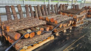 종합선물세트님의 농사, 무엇이든 물어보세요! · 참여글 작성글 사진