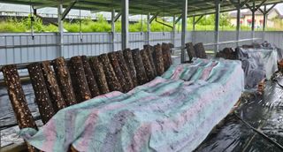 종합선물세트님의 농사, 무엇이든 물어보세요! · 참여글 작성글 사진