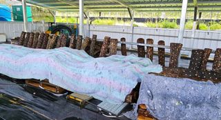 종합선물세트님의 농사, 무엇이든 물어보세요! · 참여글 작성글 사진