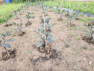 위운량님의 자유주제 · 자유게시판 작성글 사진