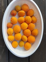 팜모닝 자유주제·자유게시판 게시글 이미지