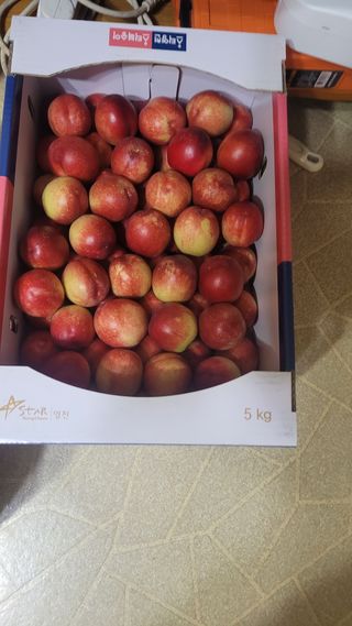 안동호님의 복숭아 · 영농일지 작성글 사진