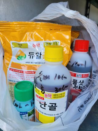 김본영 님의 자유주제 · 자유게시판 작성글 사진