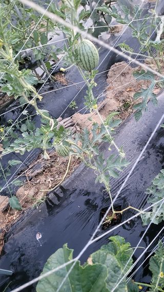 최승균님의 자유주제 · 자유게시판 작성글 사진