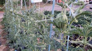 최승균님의 자유주제 · 자유게시판 작성글 사진