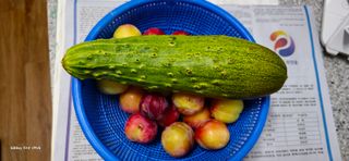 ♡청심전유삼♡님의 자유주제 · 자유게시판 작성글 사진