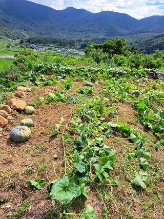 반동식님의 팜모닝 · 출석 작성글 사진