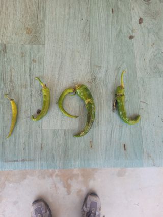 이출호님의 자유주제 · 자유게시판 작성글 사진