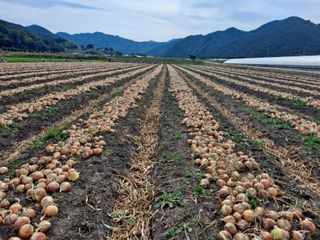 송오목님의 자유주제 · 자유게시판 작성글 사진