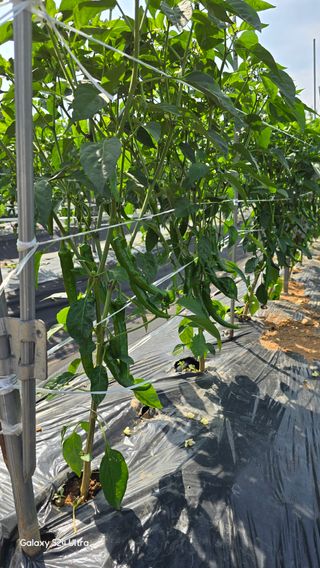 홍성부님의 자유주제 · 자유게시판 작성글 사진