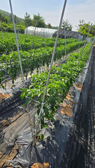 홍성부님의 자유주제 · 자유게시판 작성글 사진