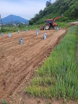 팜모닝 파·영농일지 게시글 이미지