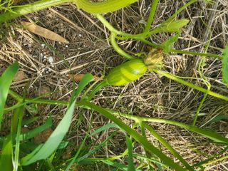 김임규님의 자유주제 · 자유게시판 작성글 사진