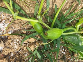 김임규님의 자유주제 · 자유게시판 작성글 사진