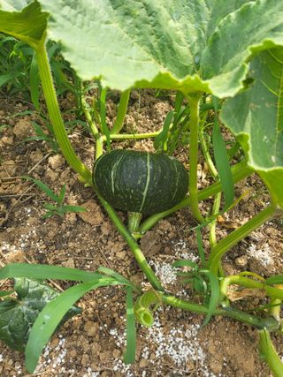 김임규님의 자유주제 · 자유게시판 작성글 사진