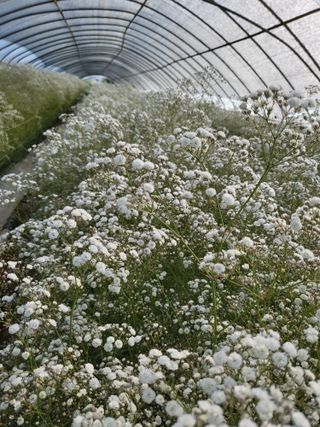 정다원 님의 포도 · 영농일지 작성글 사진