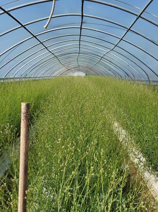 정다원 님의 포도 · 영농일지 작성글 사진