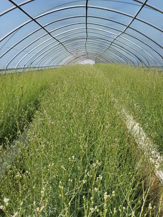 정다원 님의 포도 · 영농일지 작성글 사진