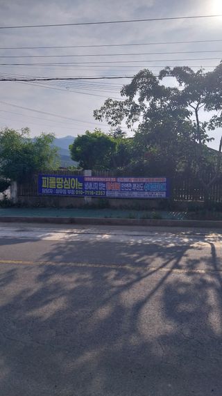 피롤땅지기님의 자유주제 · 자유게시판 작성글 사진