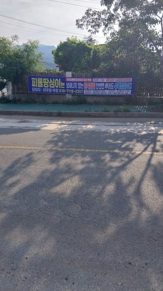 피롤땅지기님의 자유주제 · 자유게시판 작성글 사진