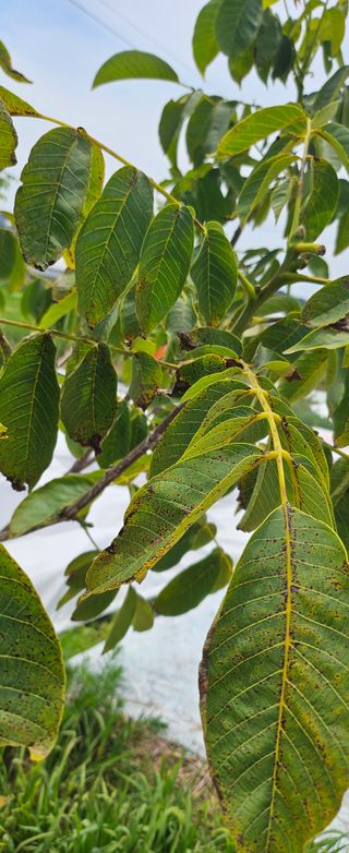 거송님의 농사, 무엇이든 물어보세요! · 참여글 작성글 사진