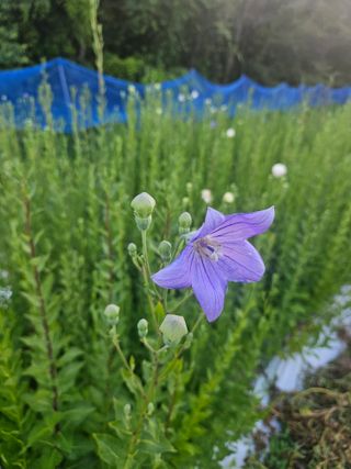 만능이되고픈농부님의 자유주제 · 자유게시판 작성글 사진