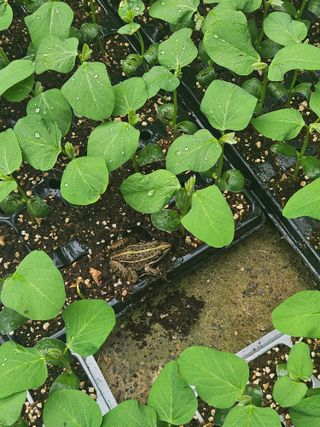 만능이되고픈농부님의 자유주제 · 자유게시판 작성글 사진