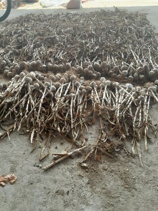 허종범님의 자유주제 · 자유게시판 작성글 사진