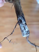 팜모닝 자유주제·자유게시판 게시글 이미지