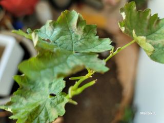 이만식님의 자유주제 · 자유게시판 작성글 사진