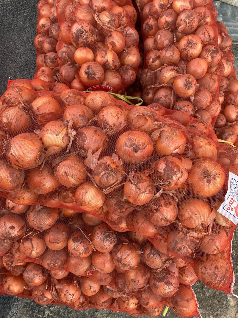 영천황마늘님의 장터 판매 상품 [영천 양파5kg] 첨부 사진