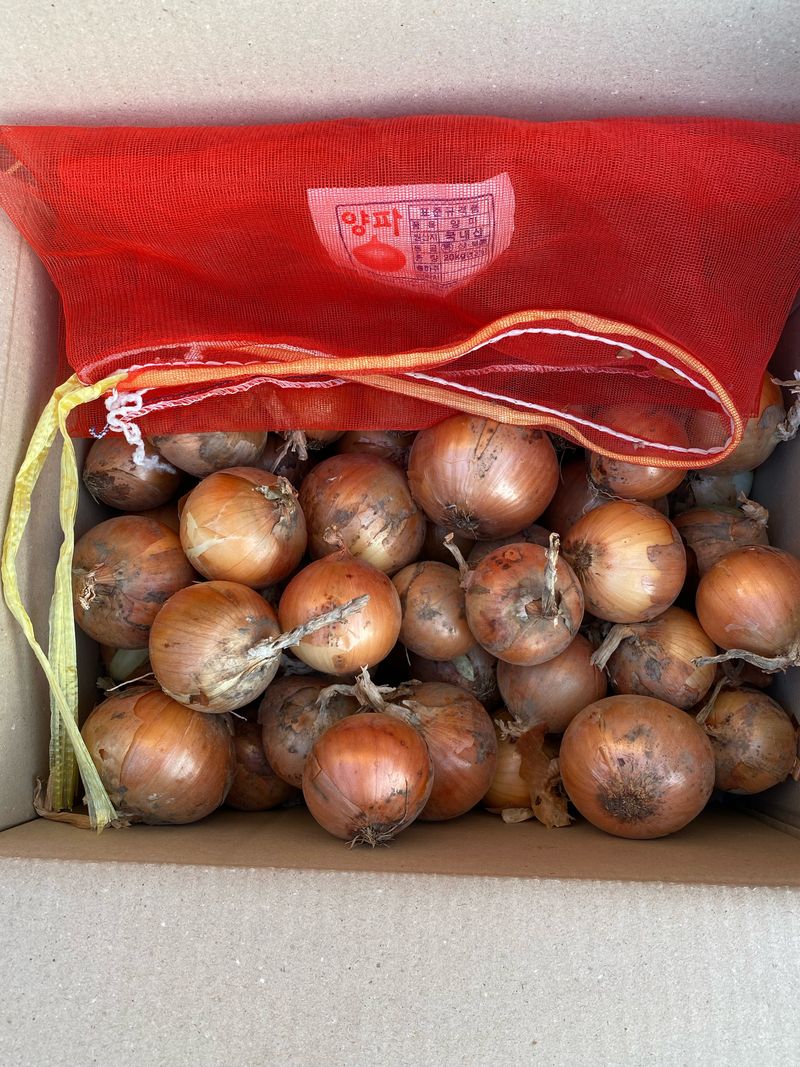 영천황마늘님의 장터 판매 상품 [영천 양파5kg] 첨부 사진