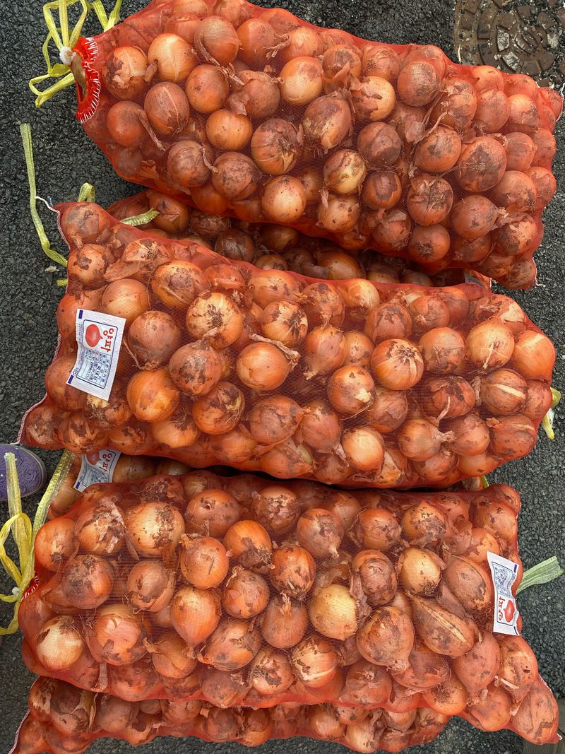 영천황마늘님의 장터 판매 상품 [영천 양파5kg] 첨부 사진