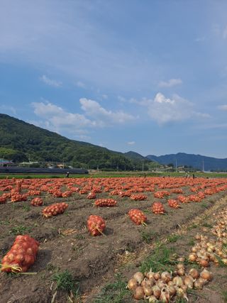 송오목님의 자유주제 · 자유게시판 작성글 사진
