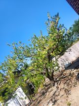 팜모닝 자유주제·자유게시판 게시글 이미지