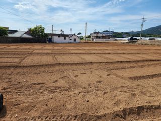 돌산갓스타님의 기타작물 · 영농일지 작성글 사진