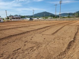 돌산갓스타님의 기타작물 · 영농일지 작성글 사진