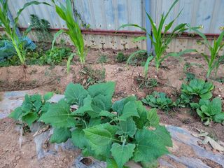 이원우님의 자유주제 · 자유게시판 작성글 사진