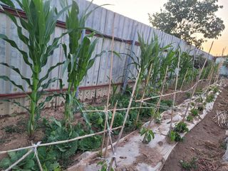 이원우님의 자유주제 · 자유게시판 작성글 사진