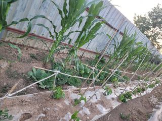 이원우님의 자유주제 · 자유게시판 작성글 사진