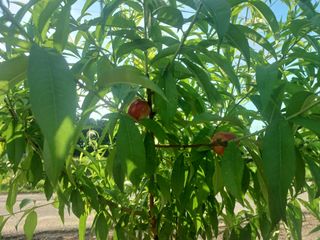 알 수 없음님의 자유주제 · 사진전 작성글 사진