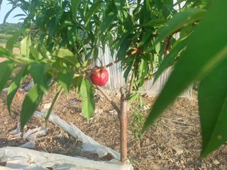 알 수 없음님의 자유주제 · 사진전 작성글 사진