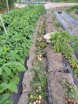 팜모닝 자유주제·자유게시판 게시글 이미지