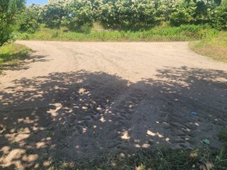 가루개님의 들깨 · 영농일지 작성글 사진