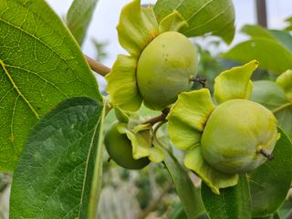 조균원님의 자유주제 · 자유게시판 작성글 사진