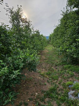 조균원님의 자유주제 · 자유게시판 작성글 사진