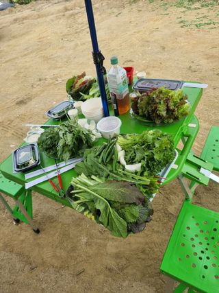 오이15230님의 벼 · 영농일지 작성글 사진