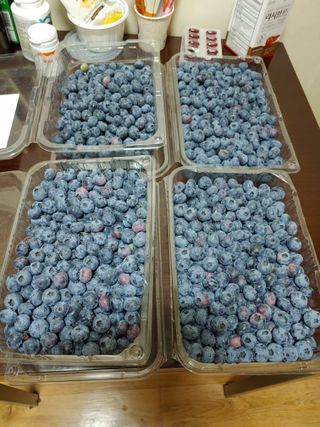 윤석님의 기타작물 · 영농일지 작성글 사진