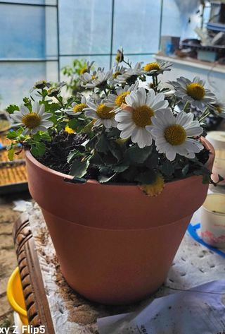 두메농원님의 기타작물 · 영농일지 작성글 사진