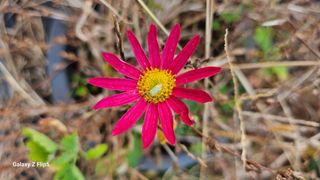 두메농원님의 기타작물 · 영농일지 작성글 사진